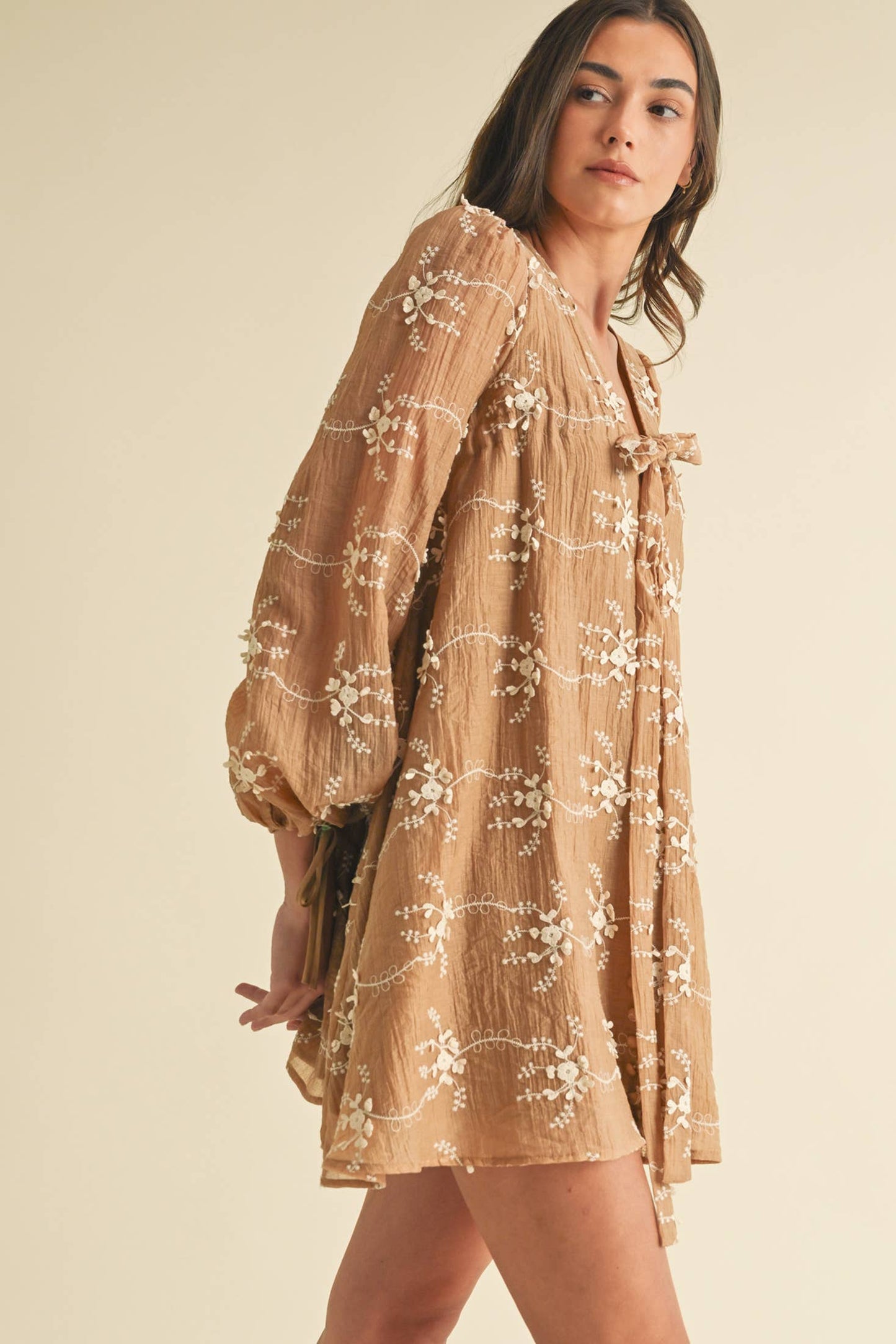 Long Sleeve Mini Dress