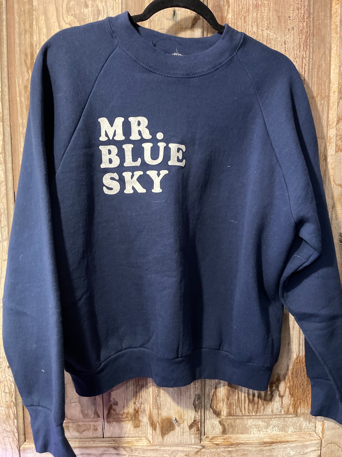 90’s Mr. Blue Sky Crewneck