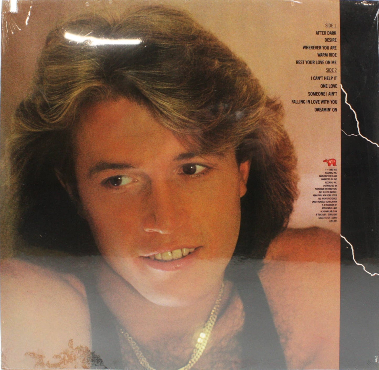 12" Vinyl LP Record - Andy Gibb - After Dark 1980s Pop Rock