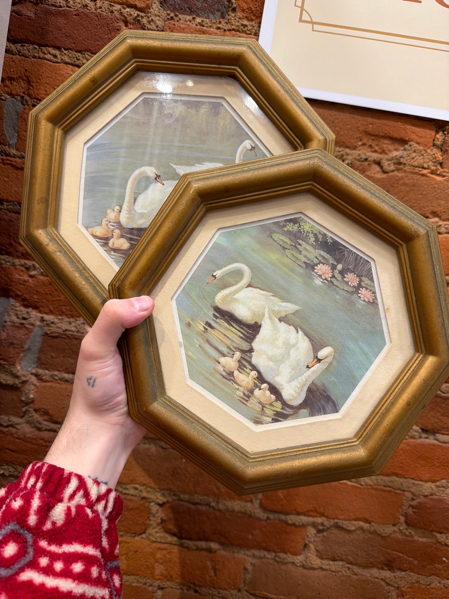 Vintage swan photo set