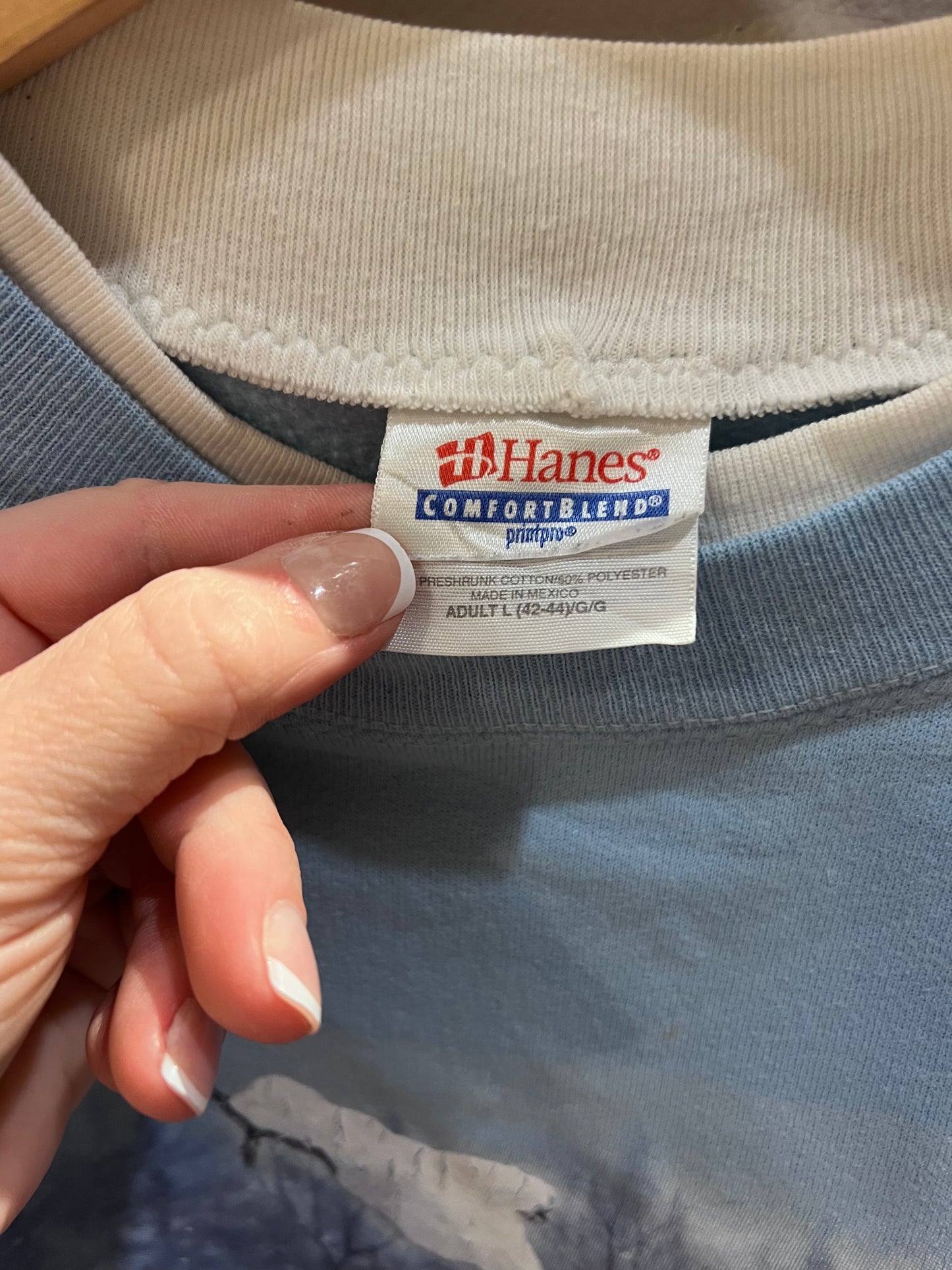 VTG Baby Blue Winter + Birds Scene Crewneck