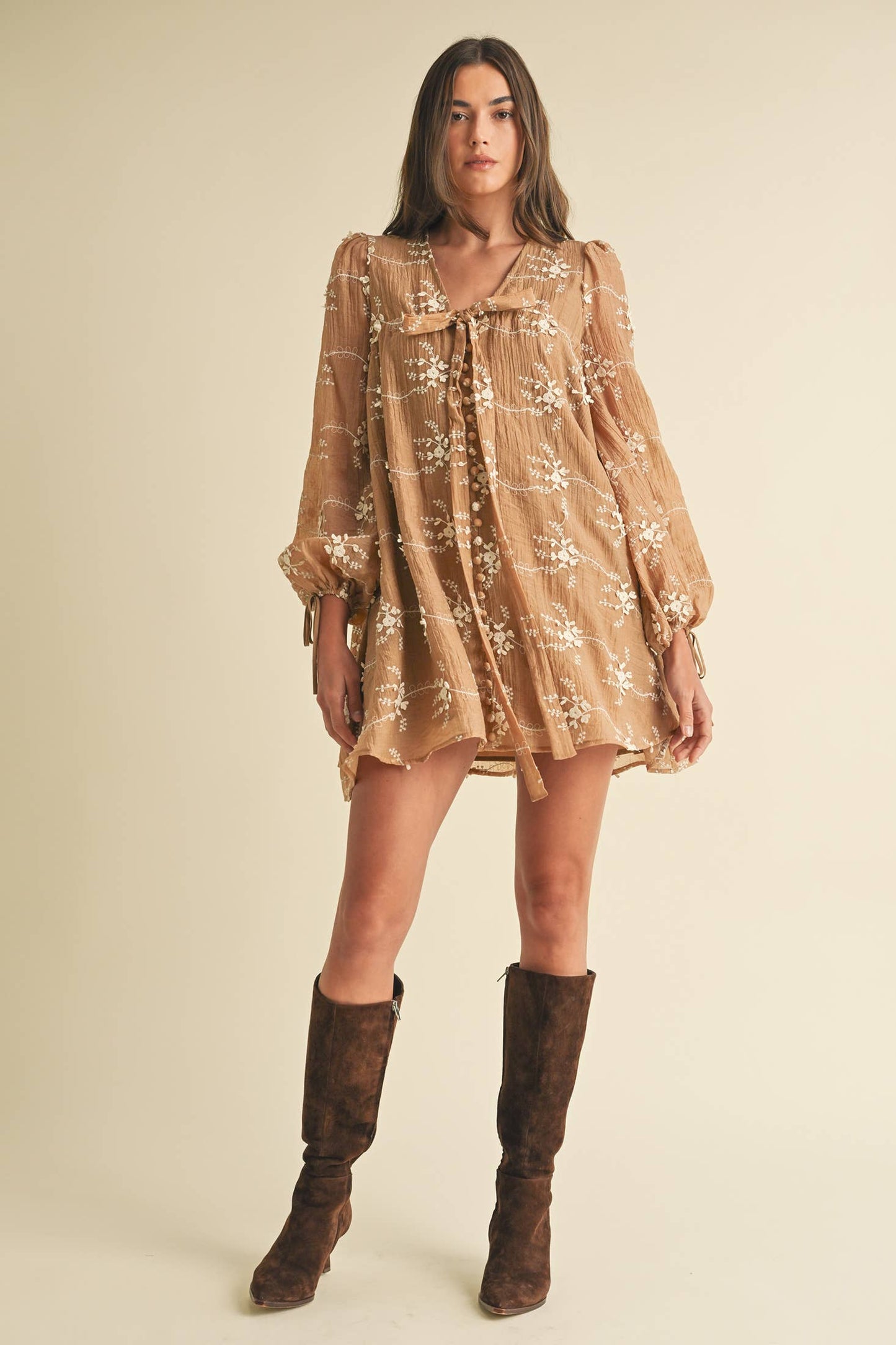 Long Sleeve Mini Dress