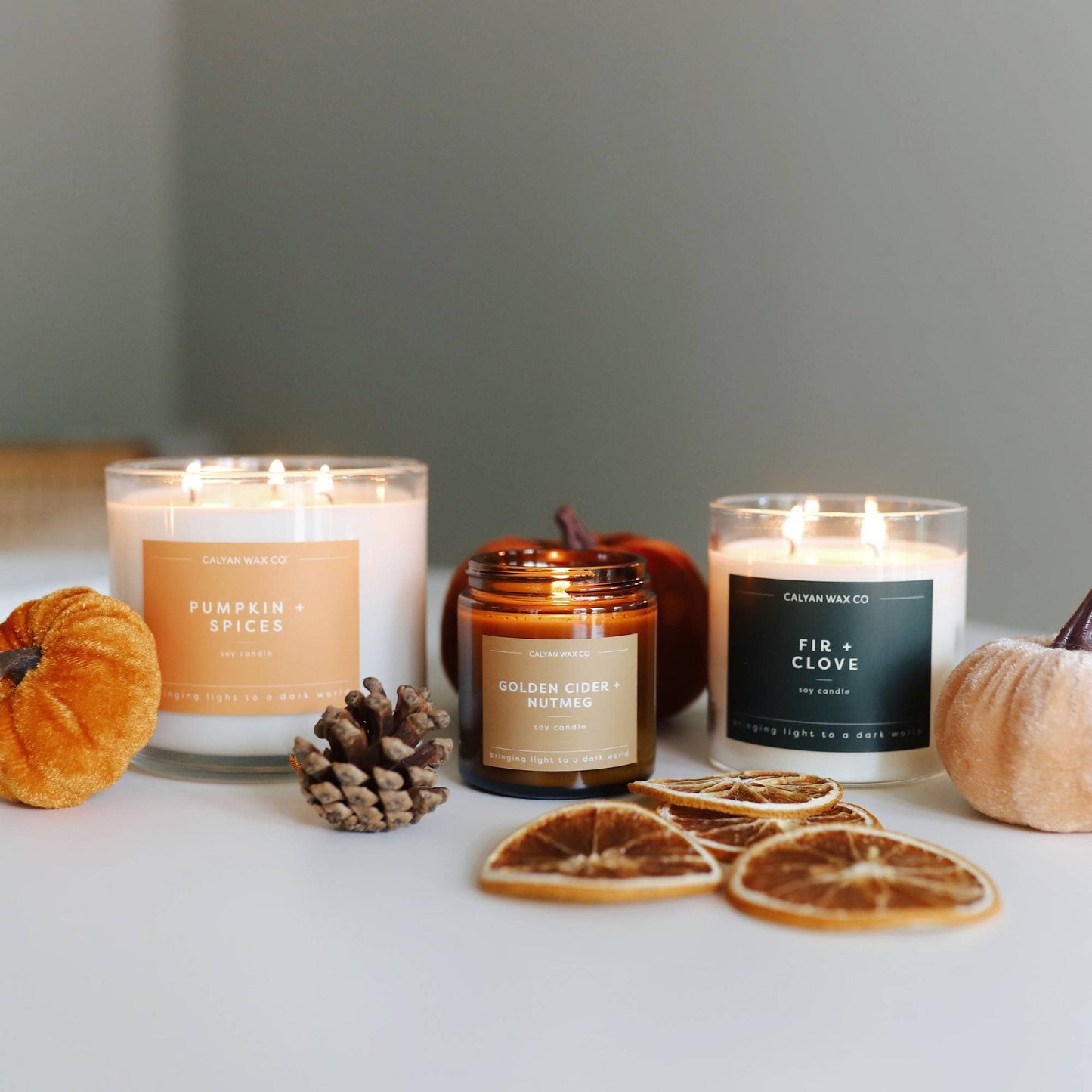 Pumpkin + Spices 3 Wick Candle