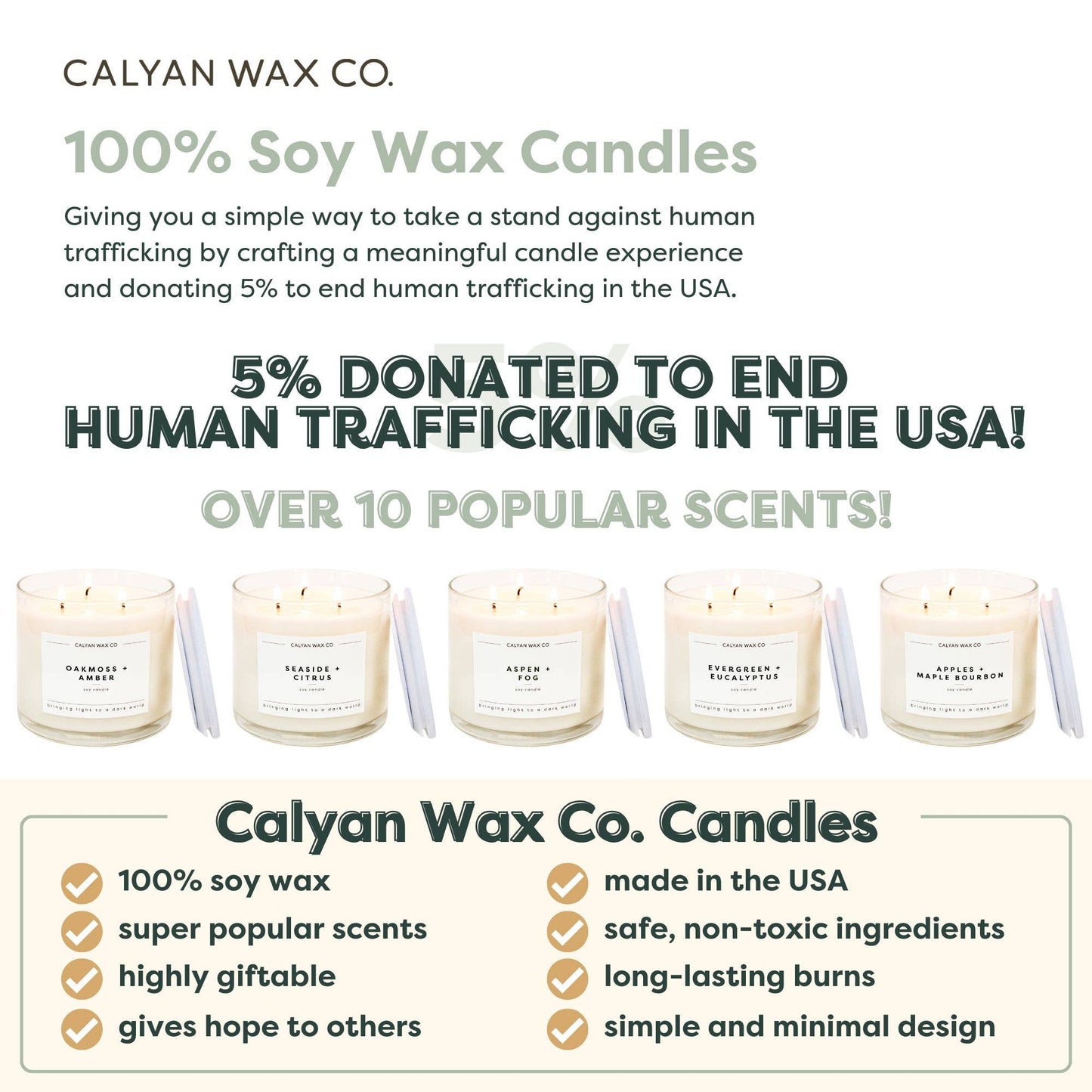 GoldenCider + Nutmeg 3 Wick Candle
