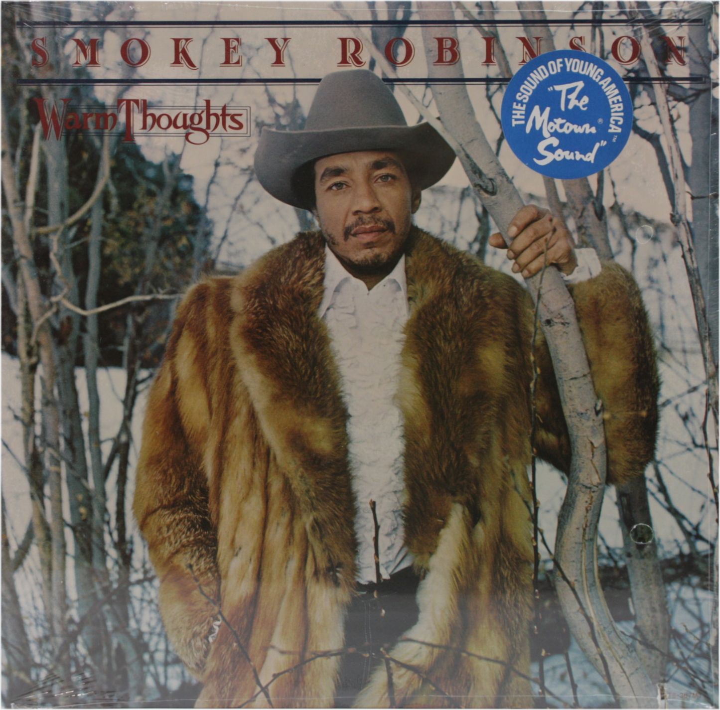 12" Vinyl LP Record - Smokey Robinson Warm Thoughts Pop Rock