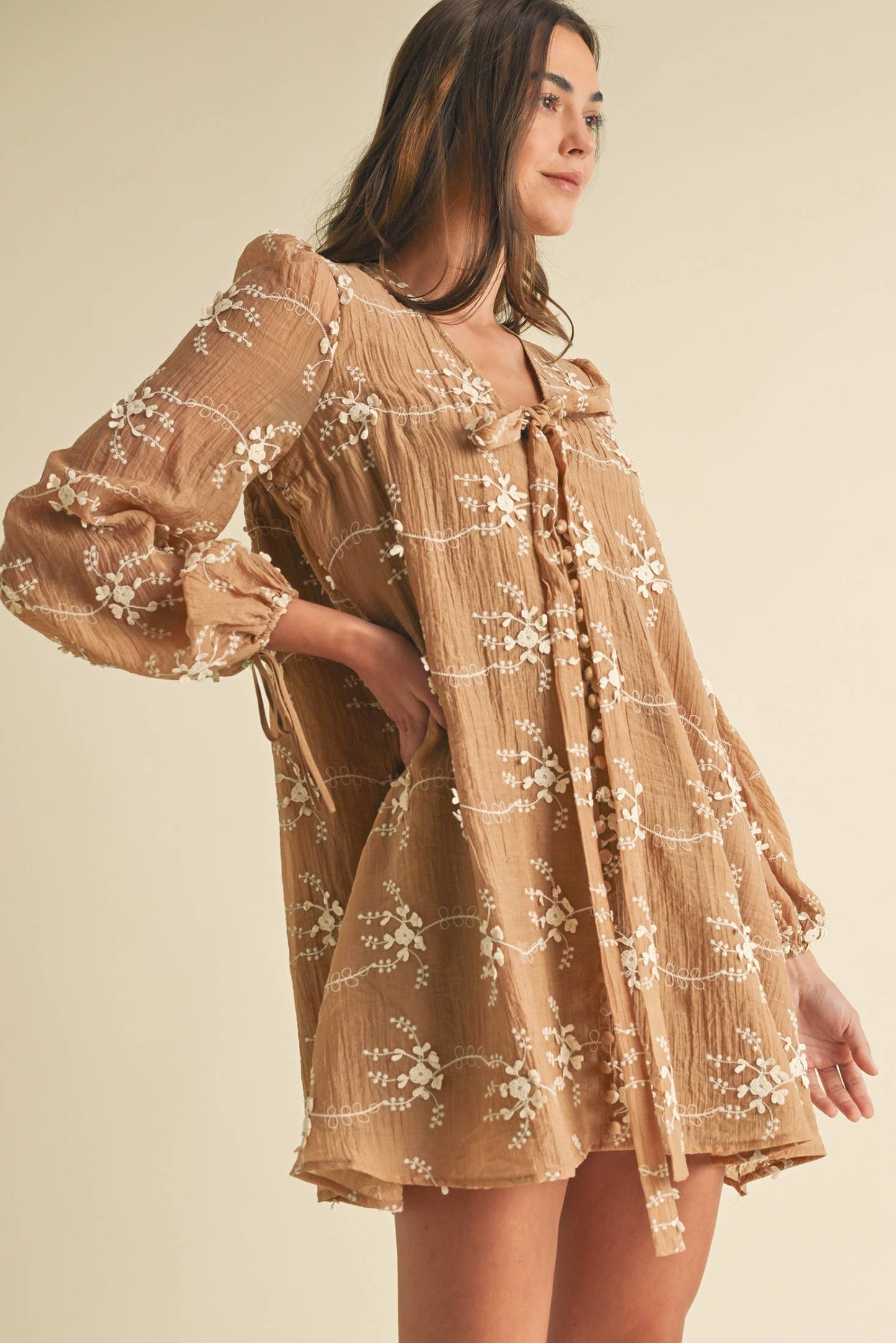 Long Sleeve Mini Dress