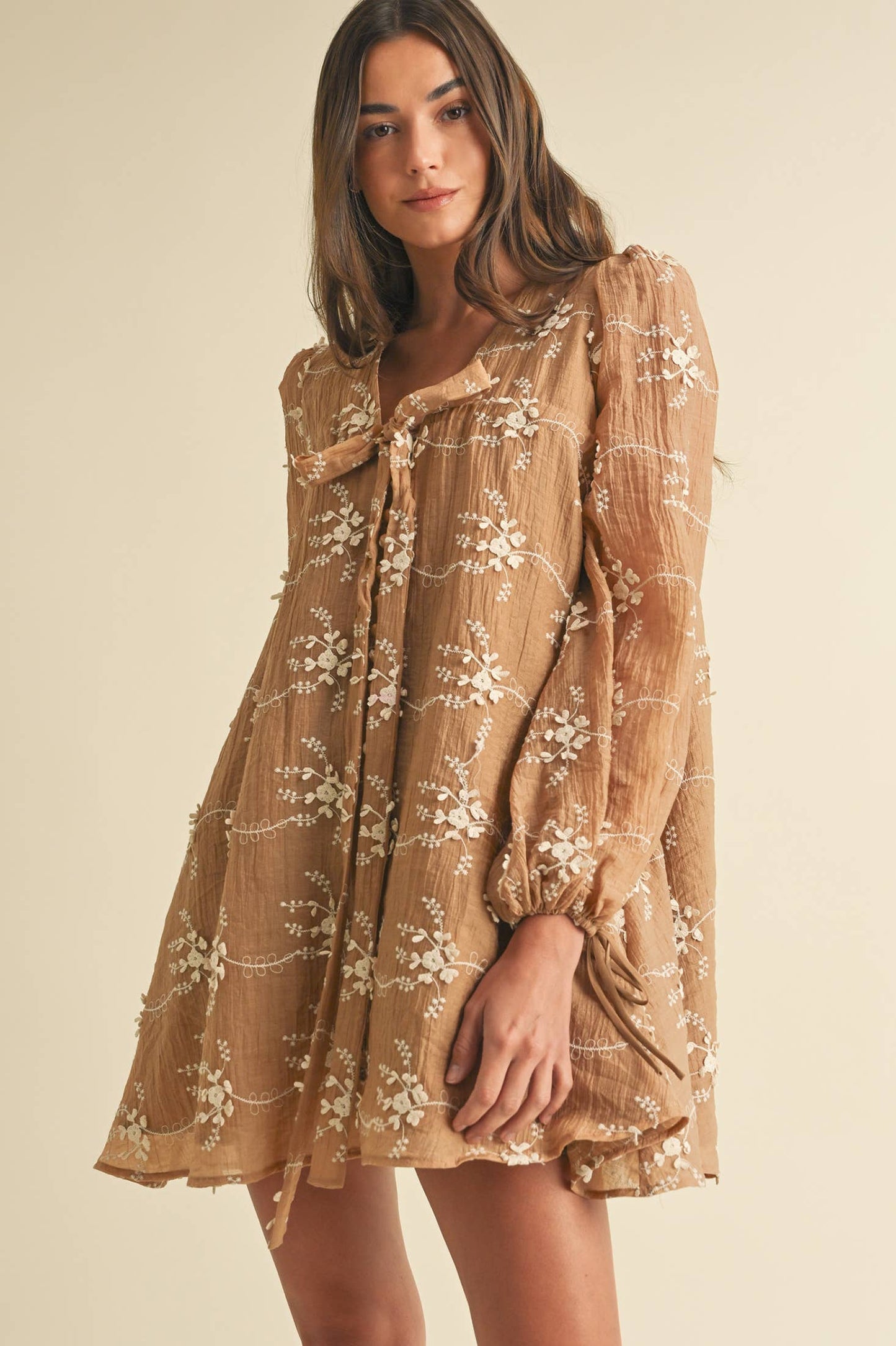 Long Sleeve Mini Dress