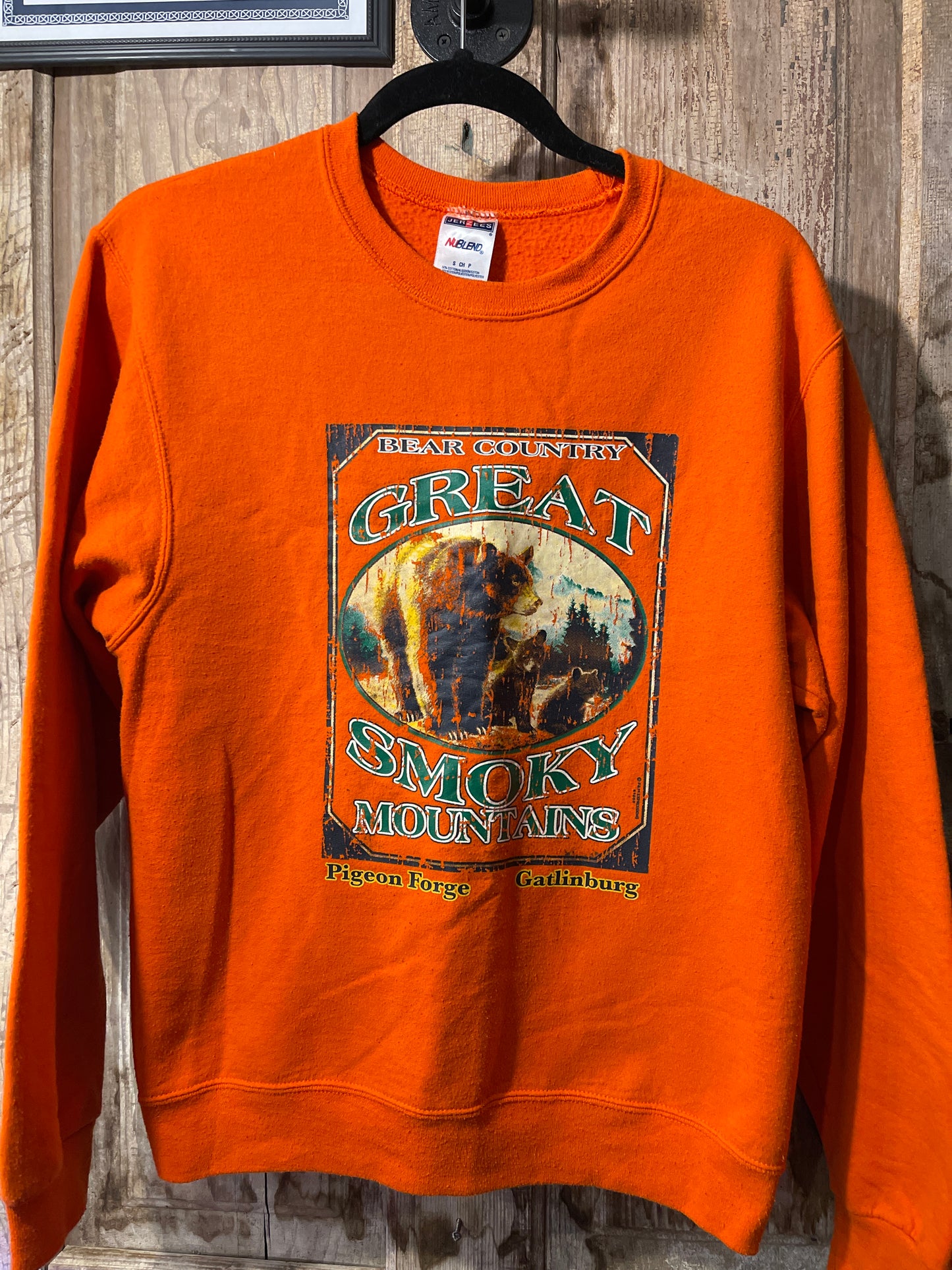Y2K Smoky Mountain Crewneck