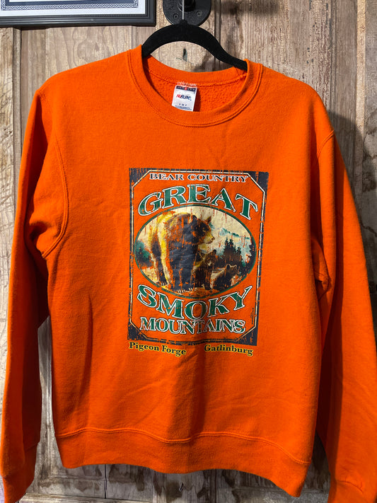 Y2K Smoky Mountain Crewneck