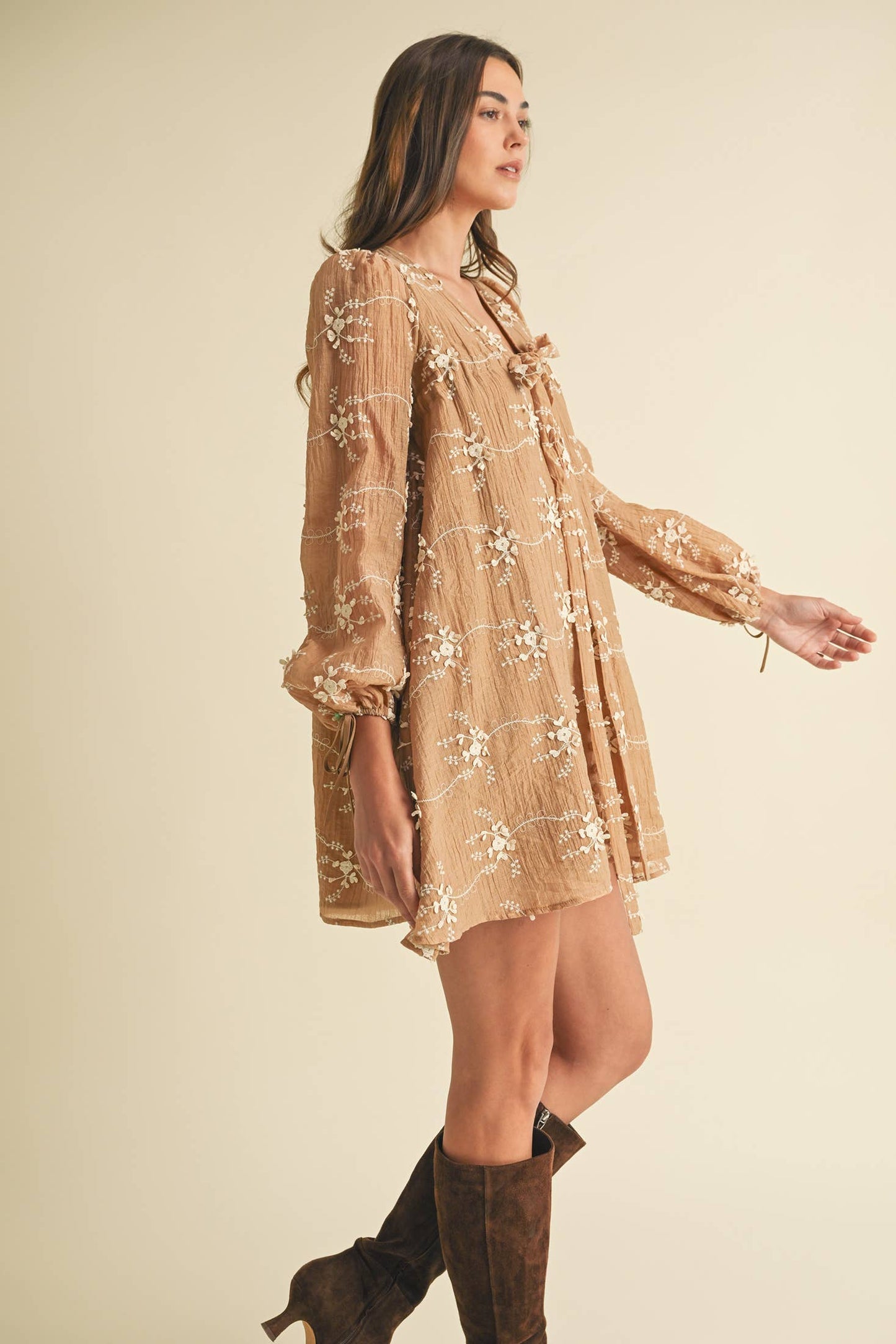 Long Sleeve Mini Dress