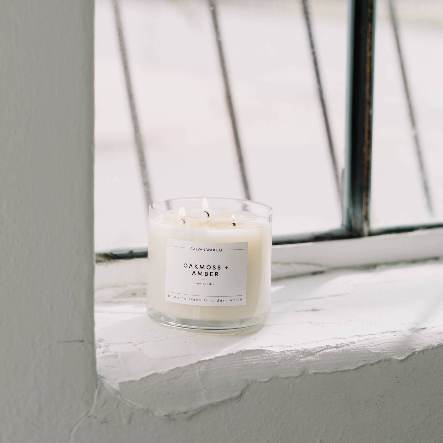 Oakmoss + Amber 3 Wick Candle