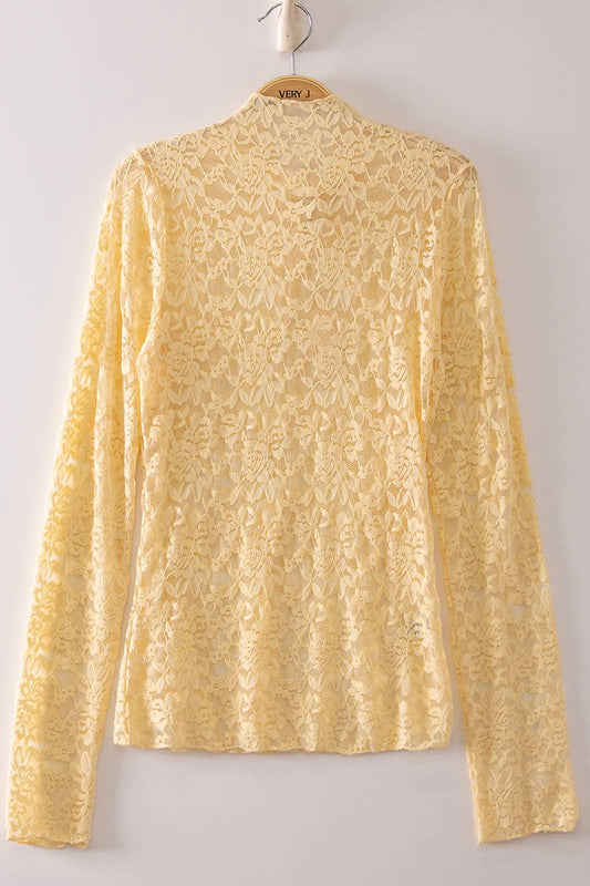 Sheer Lace Knit Top