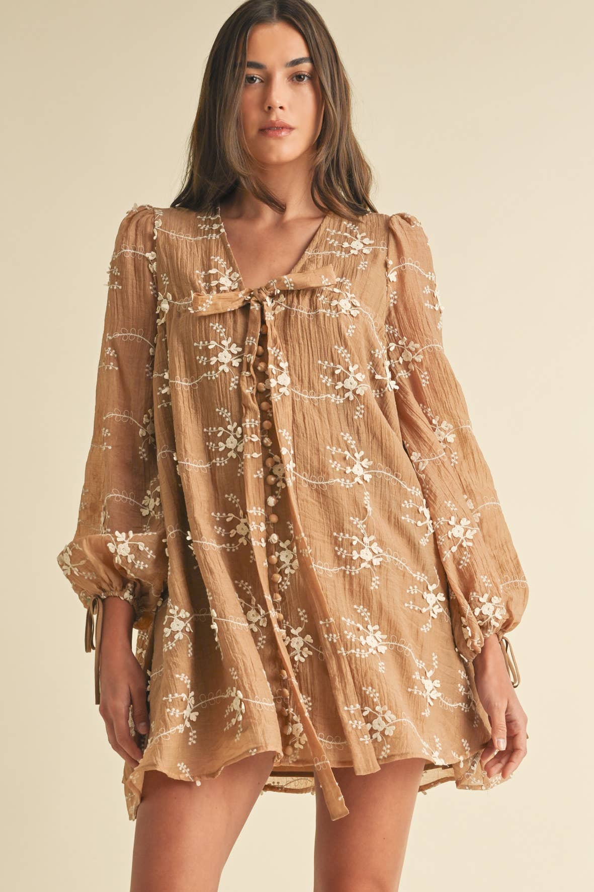 Long Sleeve Mini Dress