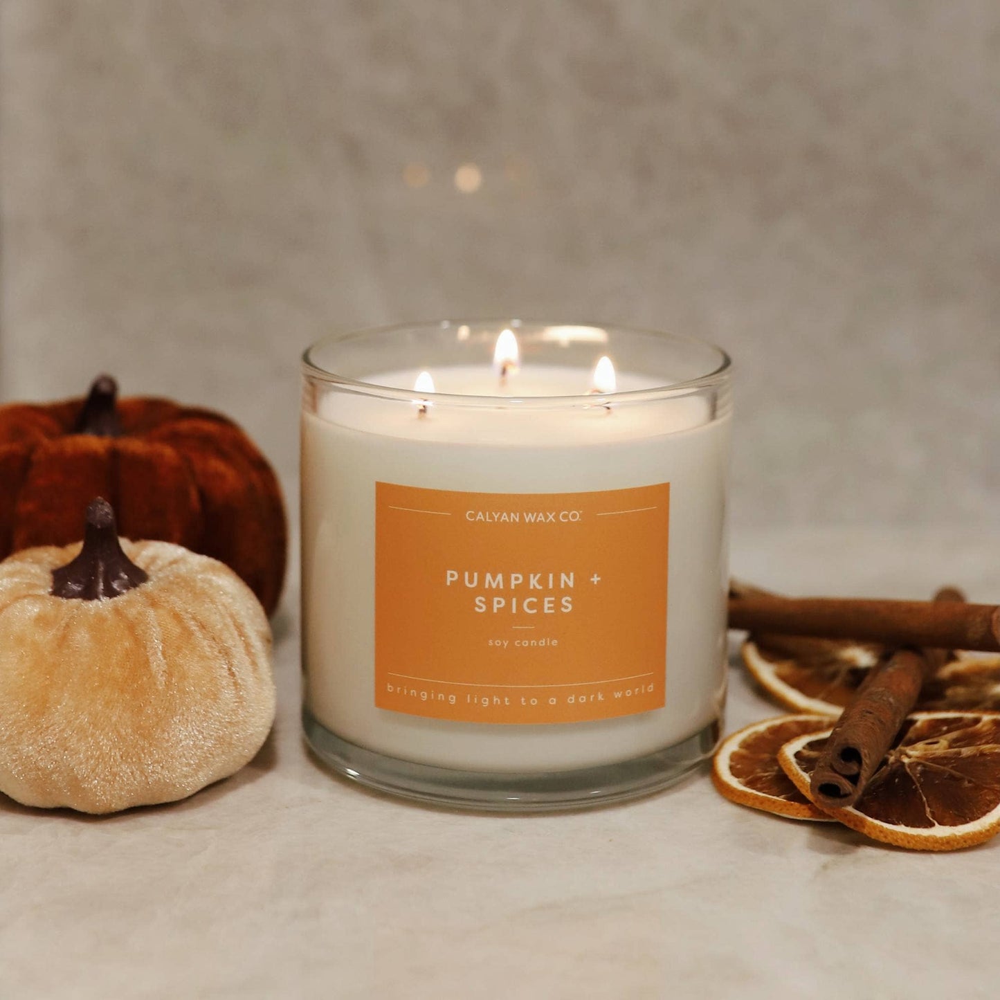 Pumpkin + Spices 3 Wick Candle