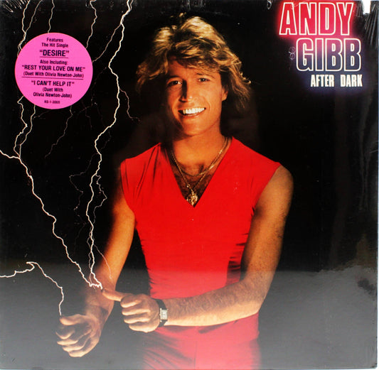 12" Vinyl LP Record - Andy Gibb - After Dark 1980s Pop Rock