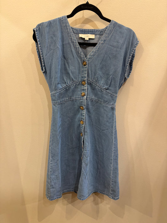 Jean Dress