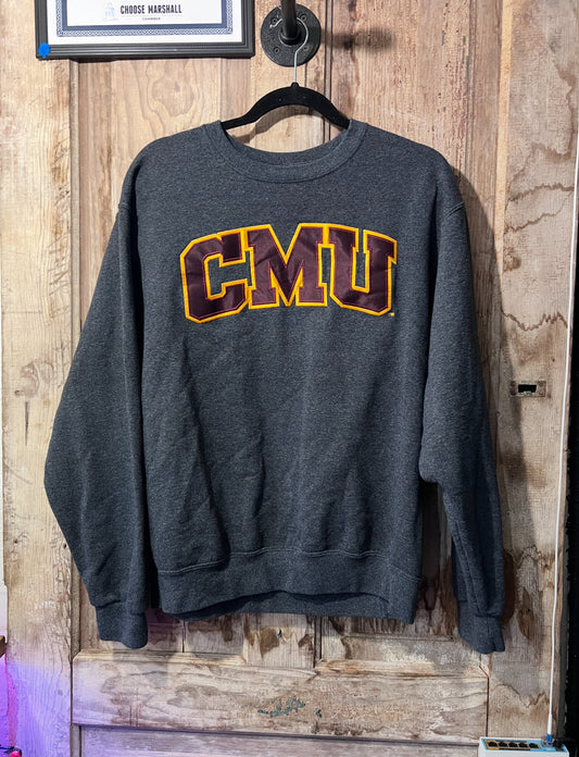 CMU sweatshirt