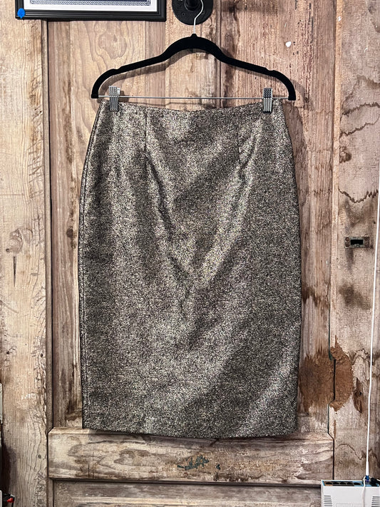 Silver Vintage skirt