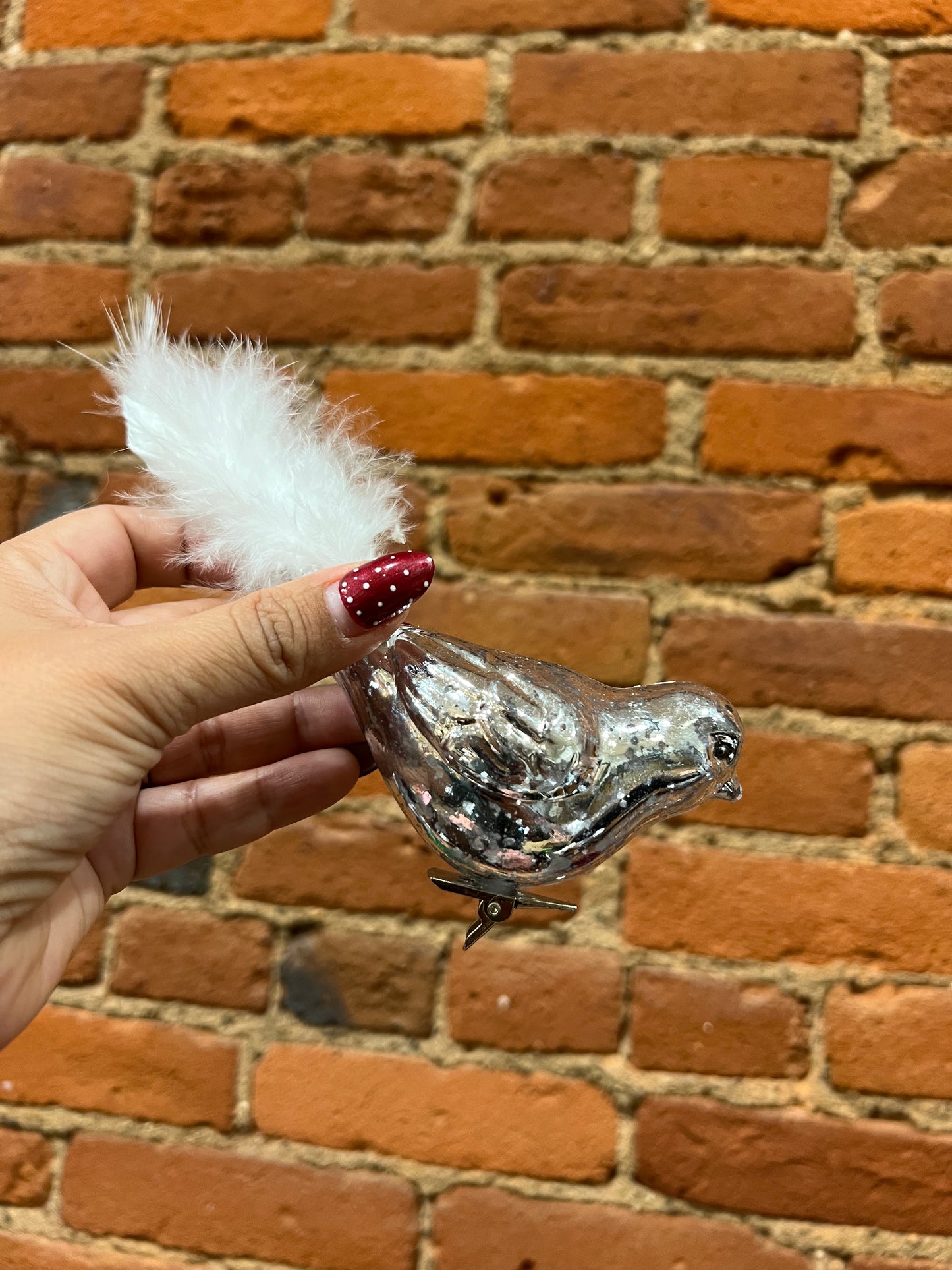 Silver clip bird orn