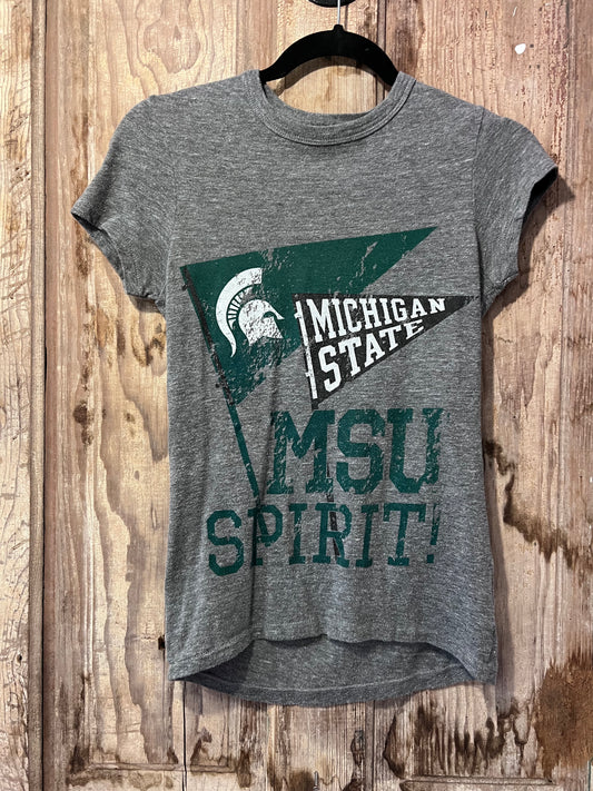 Grey Michigan State T-Shirt