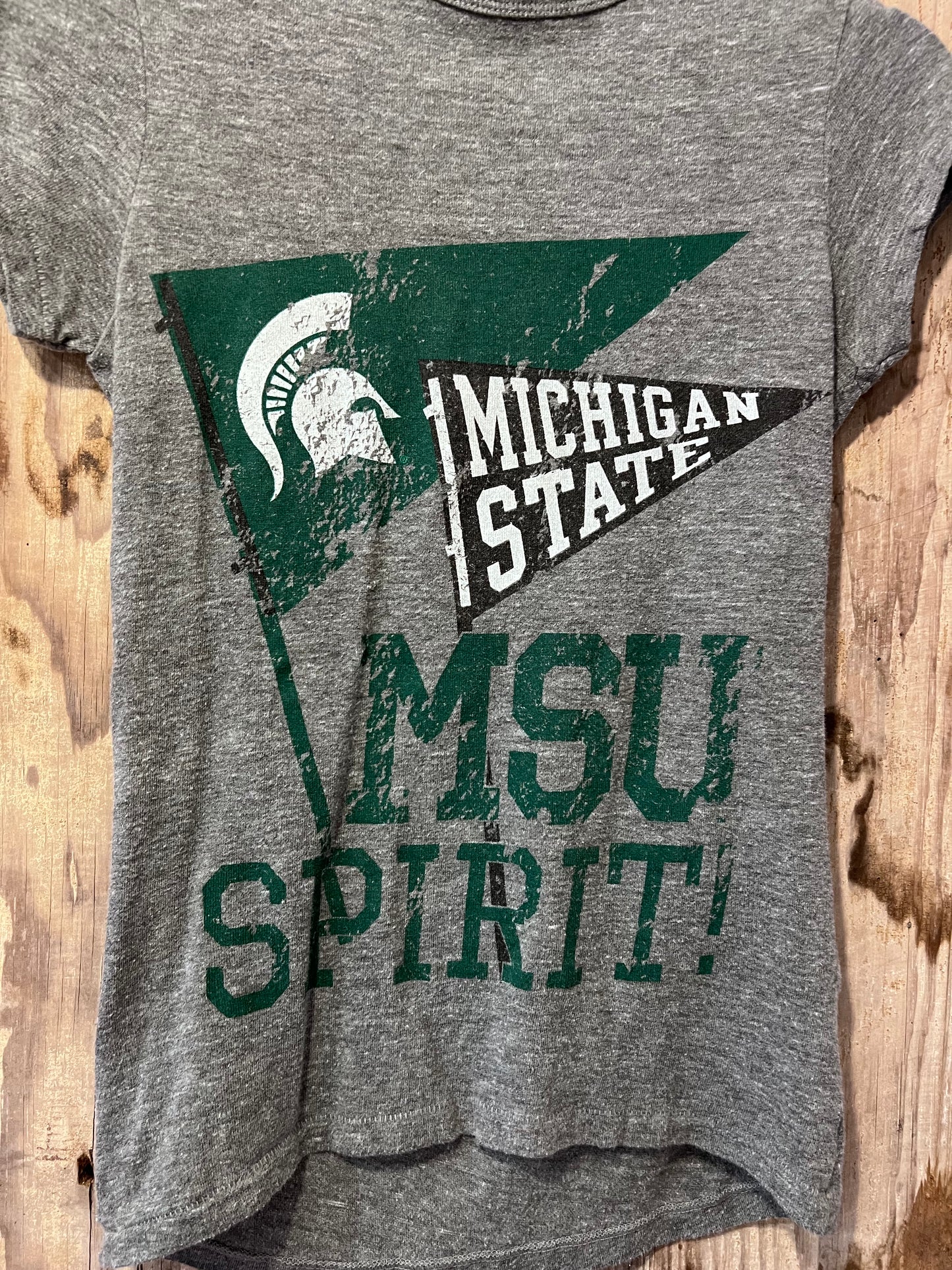 Grey Michigan State T-Shirt
