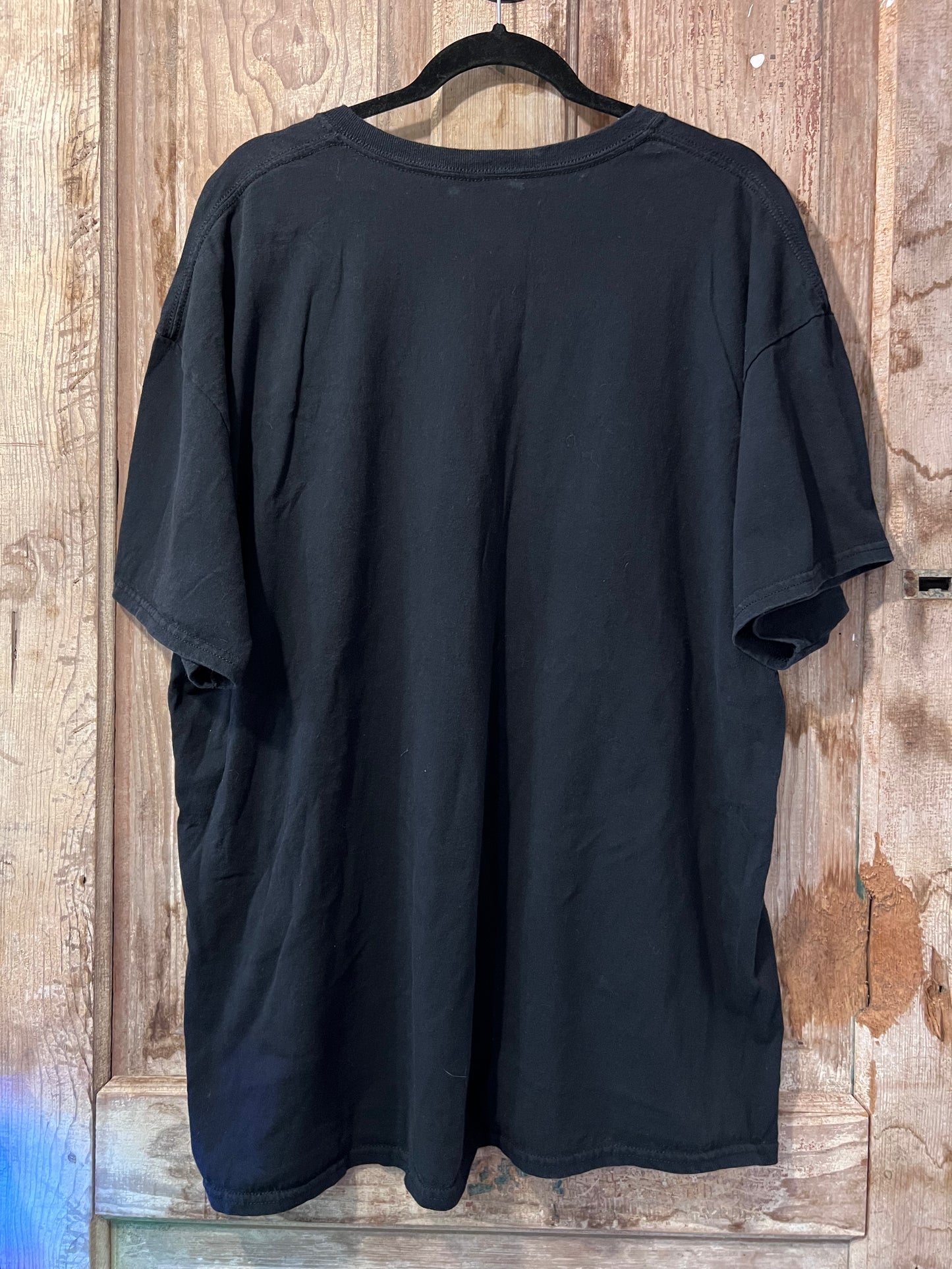 Bald Eagle Graphic T-Shirt