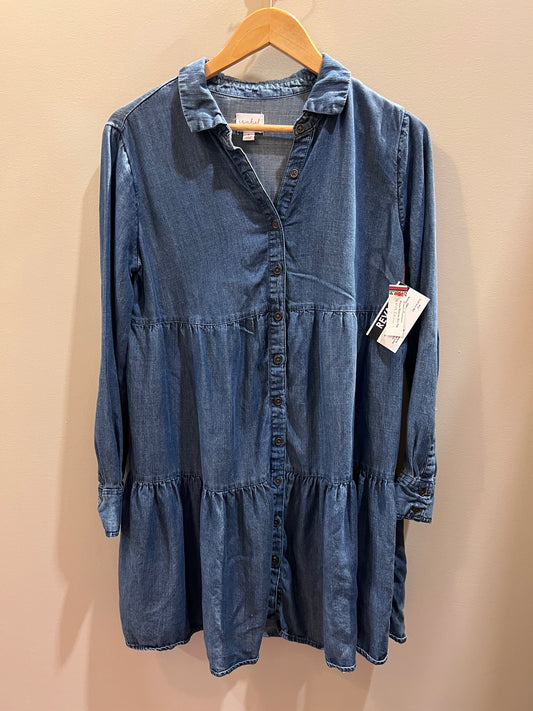 ISABEL Denim Long Sleeve Frilly Dress
