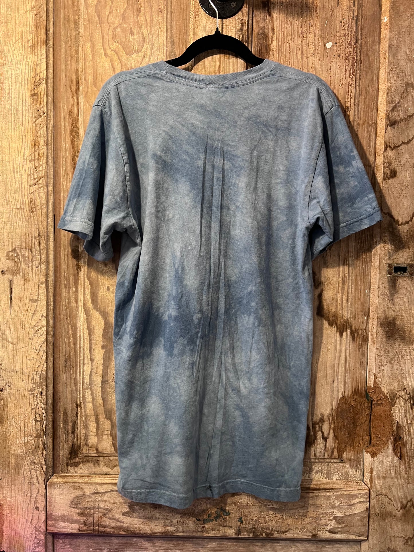 2012 The Mountain Dolphin Graphic T-Shirt