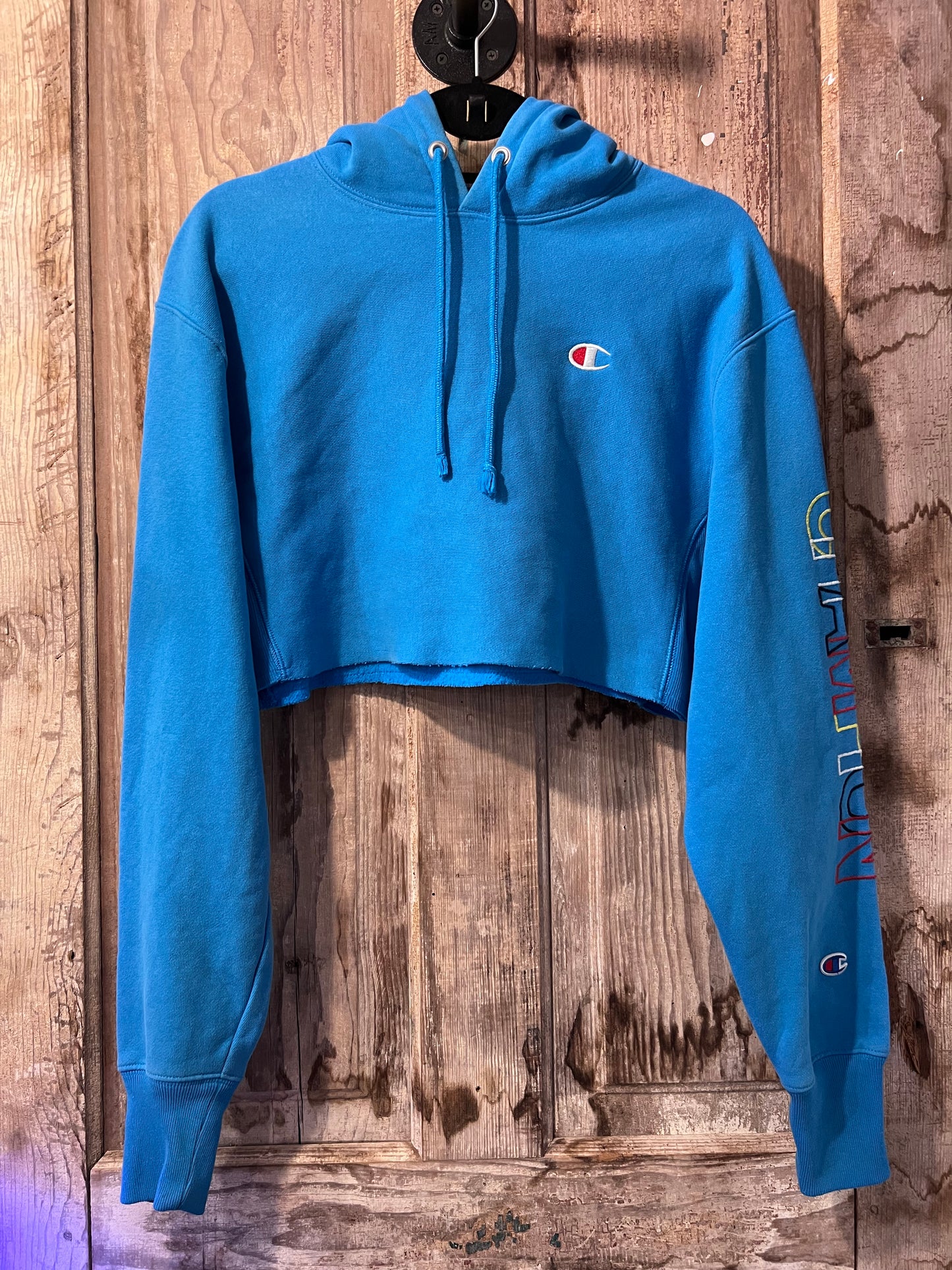 Y2K Baby Blue Cropped Champion Hoodie
