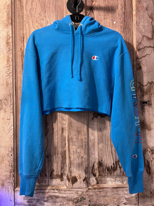 Y2K Baby Blue Cropped Champion Hoodie