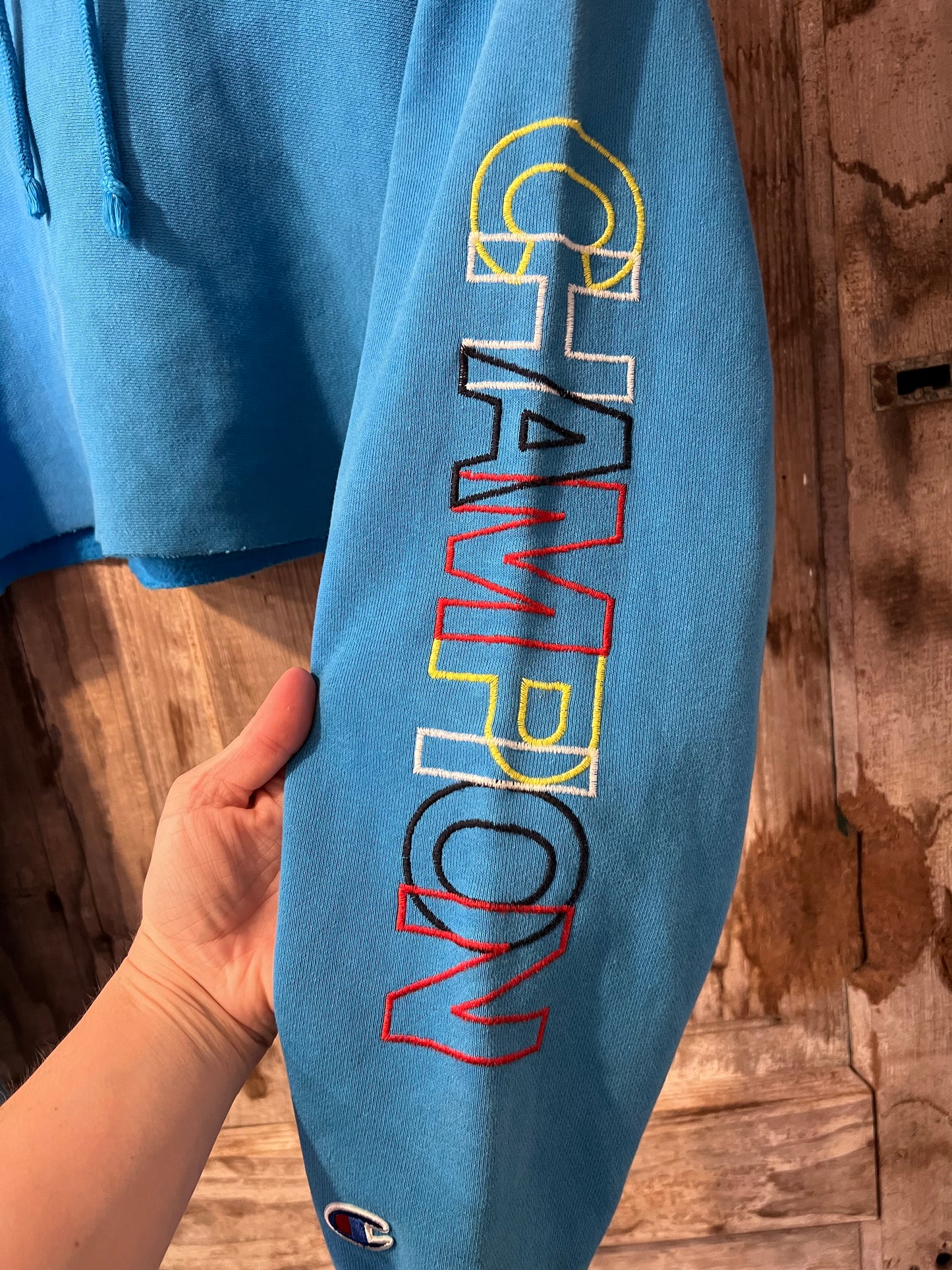 Y2K Baby Blue Cropped Champion Hoodie