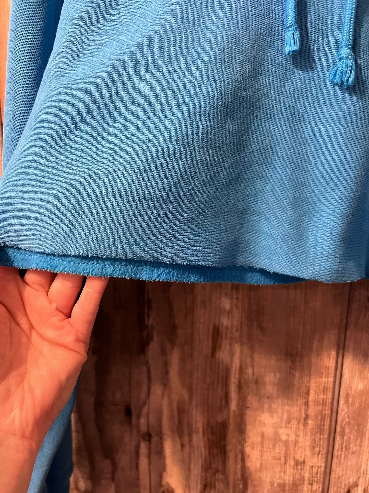 Y2K Baby Blue Cropped Champion Hoodie