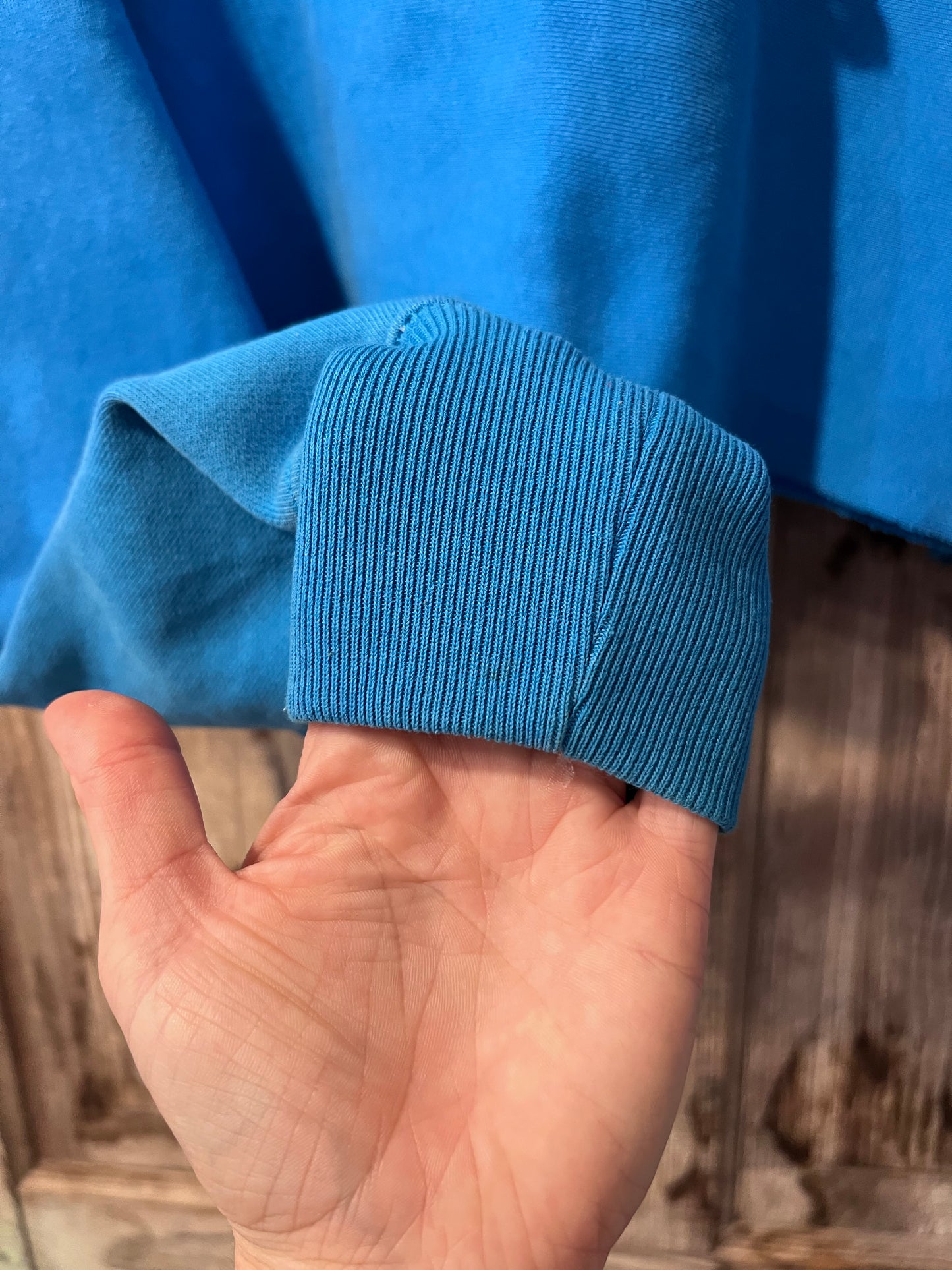 Y2K Baby Blue Cropped Champion Hoodie