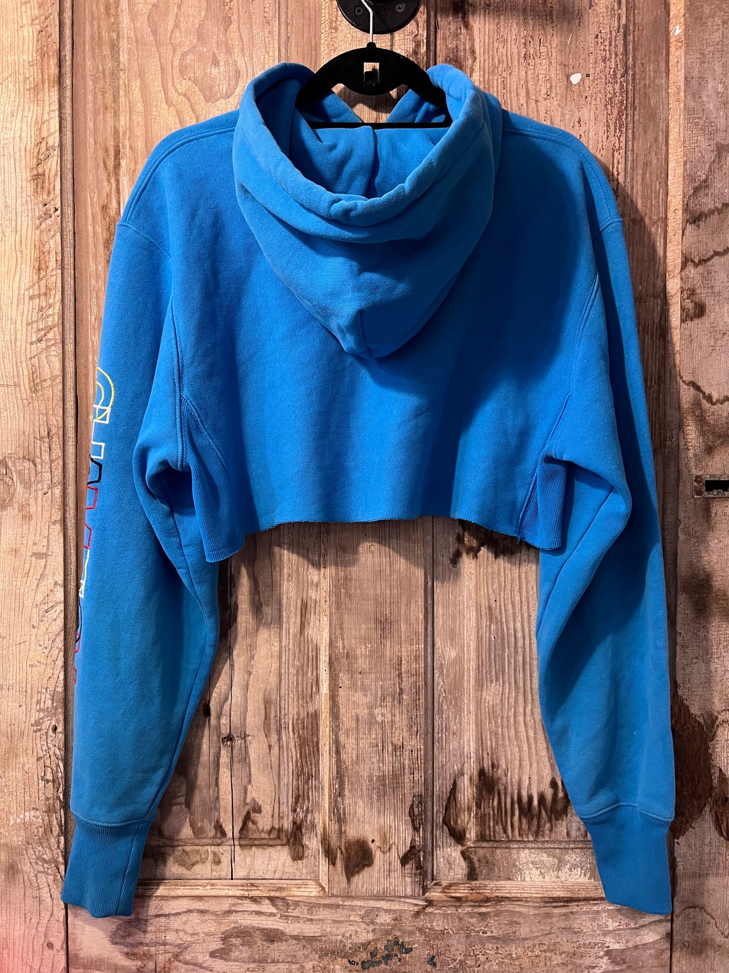 Y2K Baby Blue Cropped Champion Hoodie