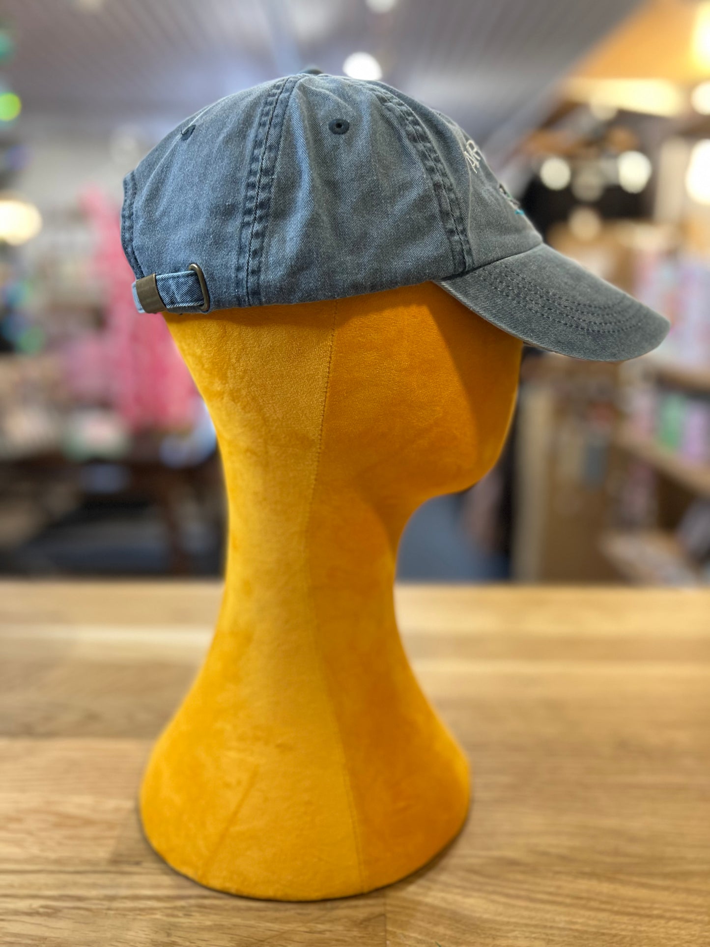 90's ADIRONDACKS Embroidered Duck Denim Hat