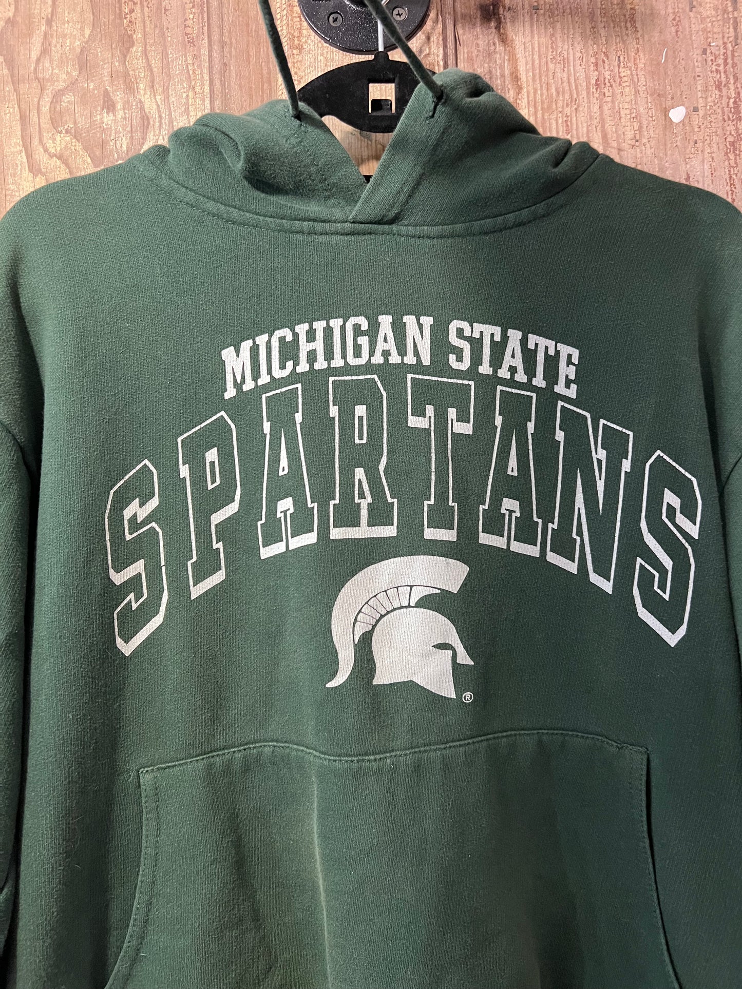 Y2K Michigan State Hoodie