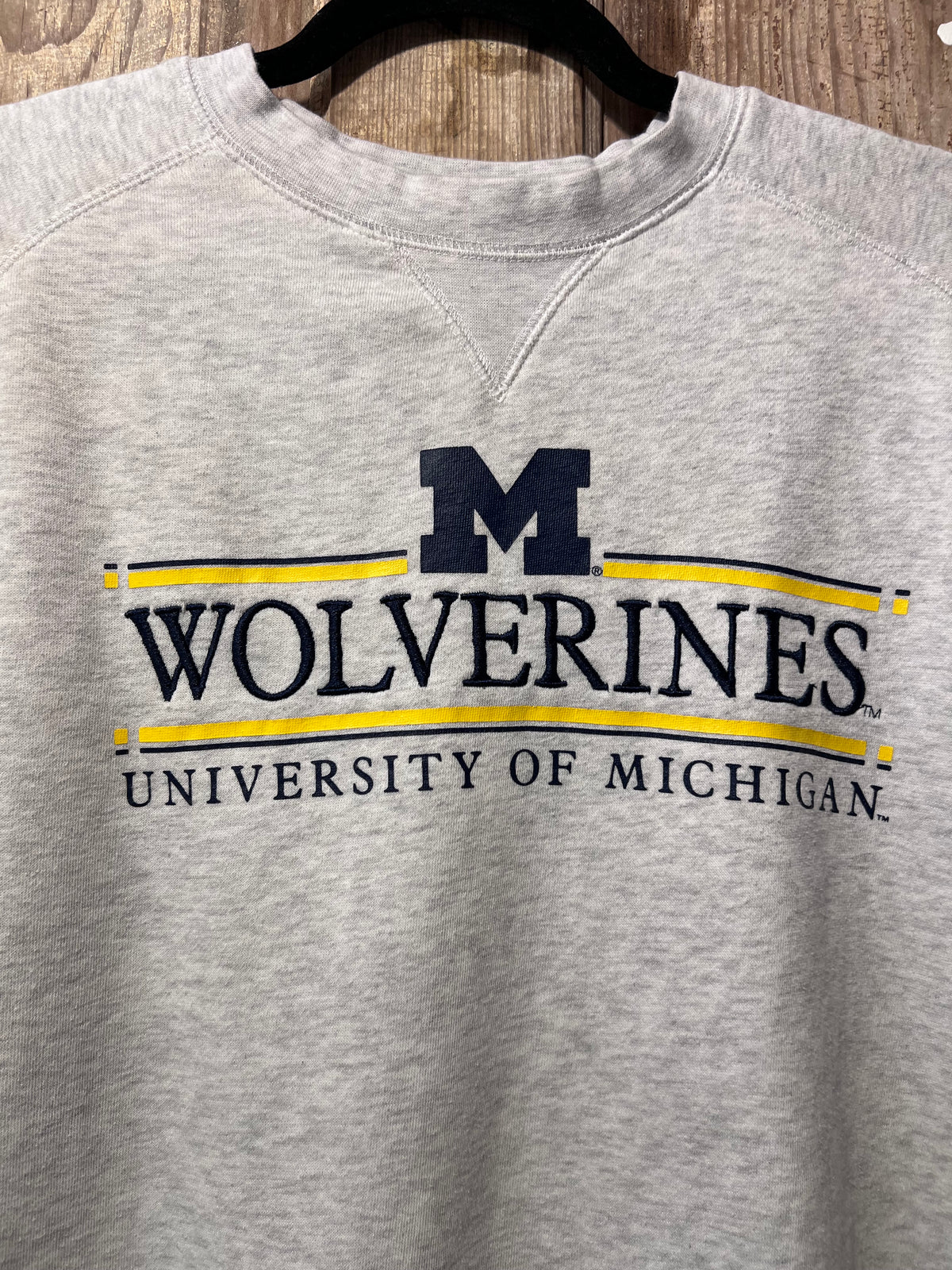Y2K U of M Crewneck