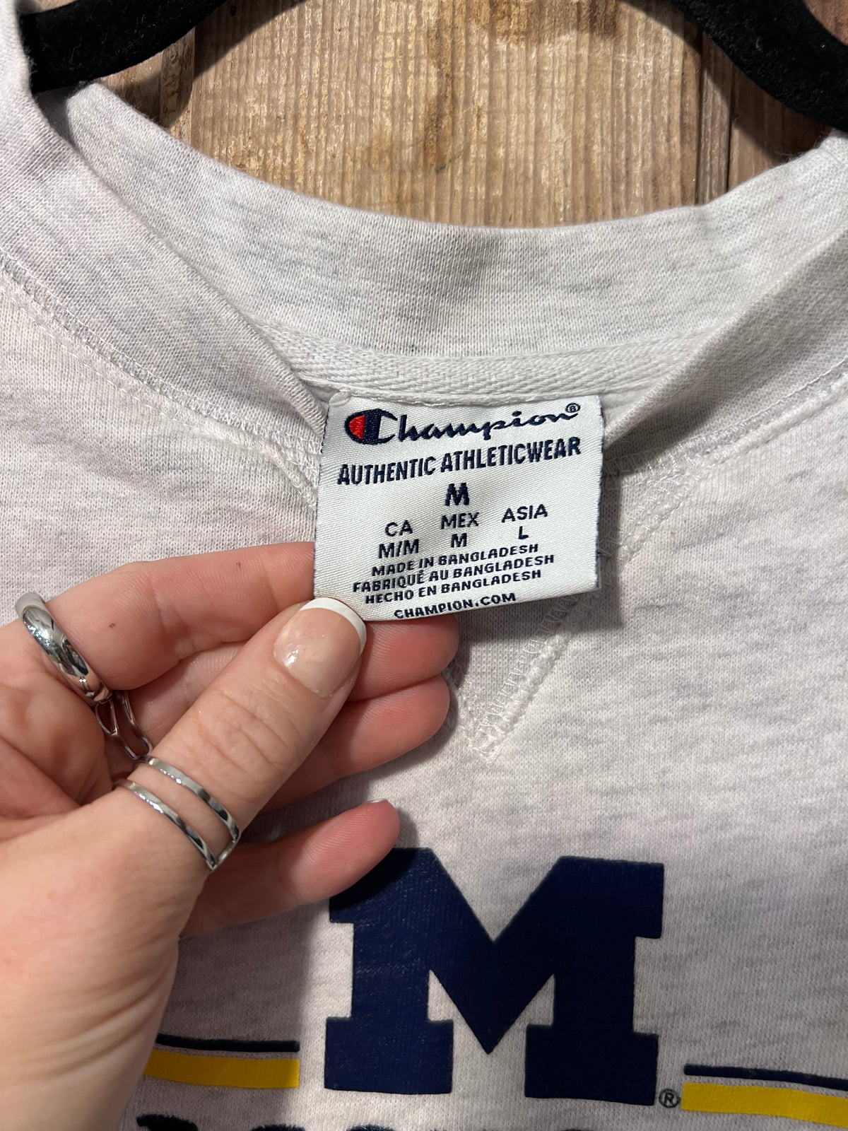 Y2K U of M Crewneck