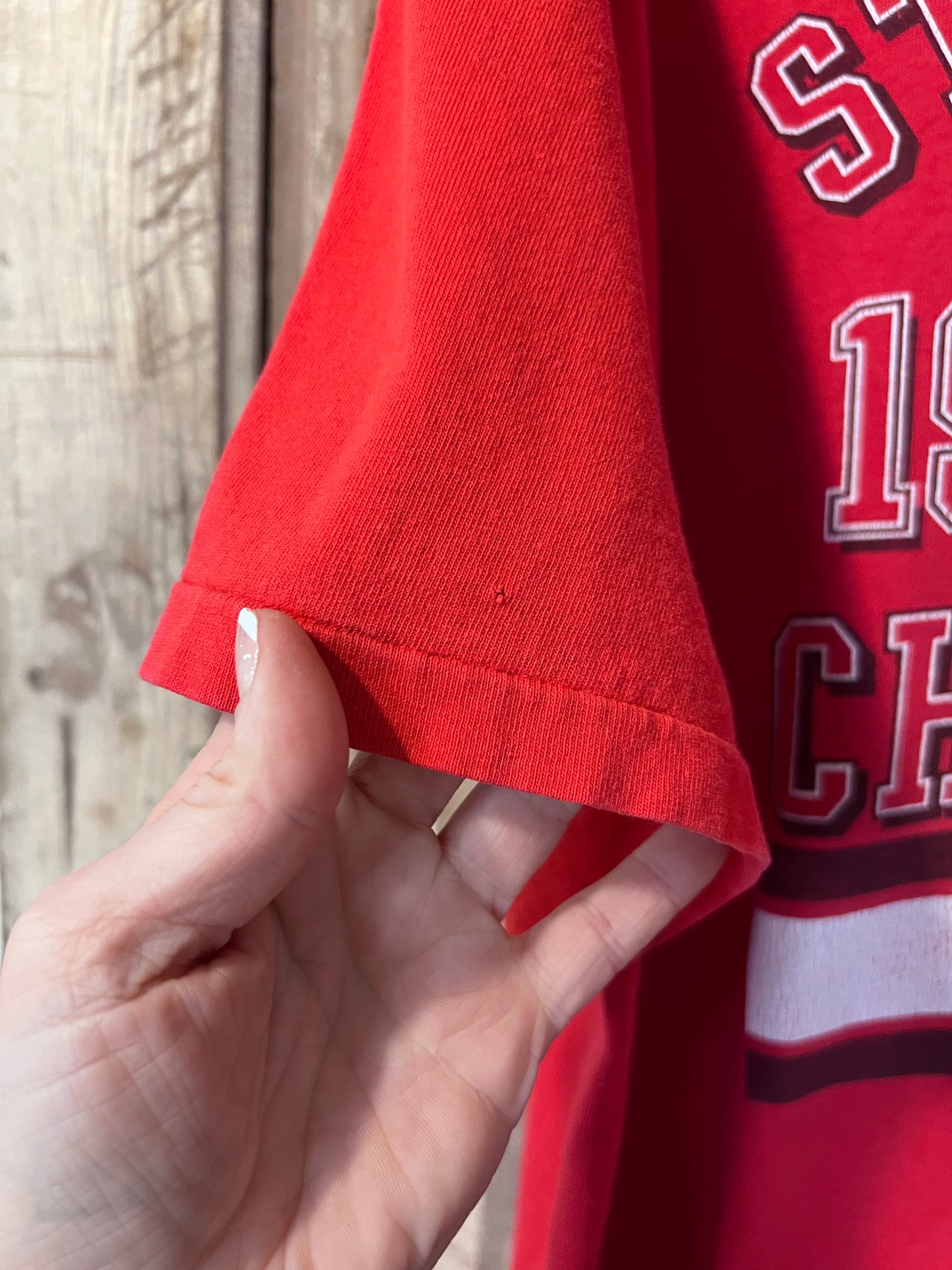 1997 Detroit Red Wings Stanley Cup Champs T-Shirt