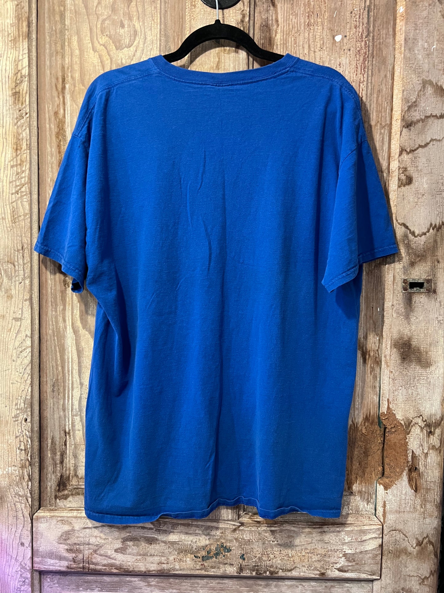 90's Blue Wolf + Feather Graphic T-Shirt