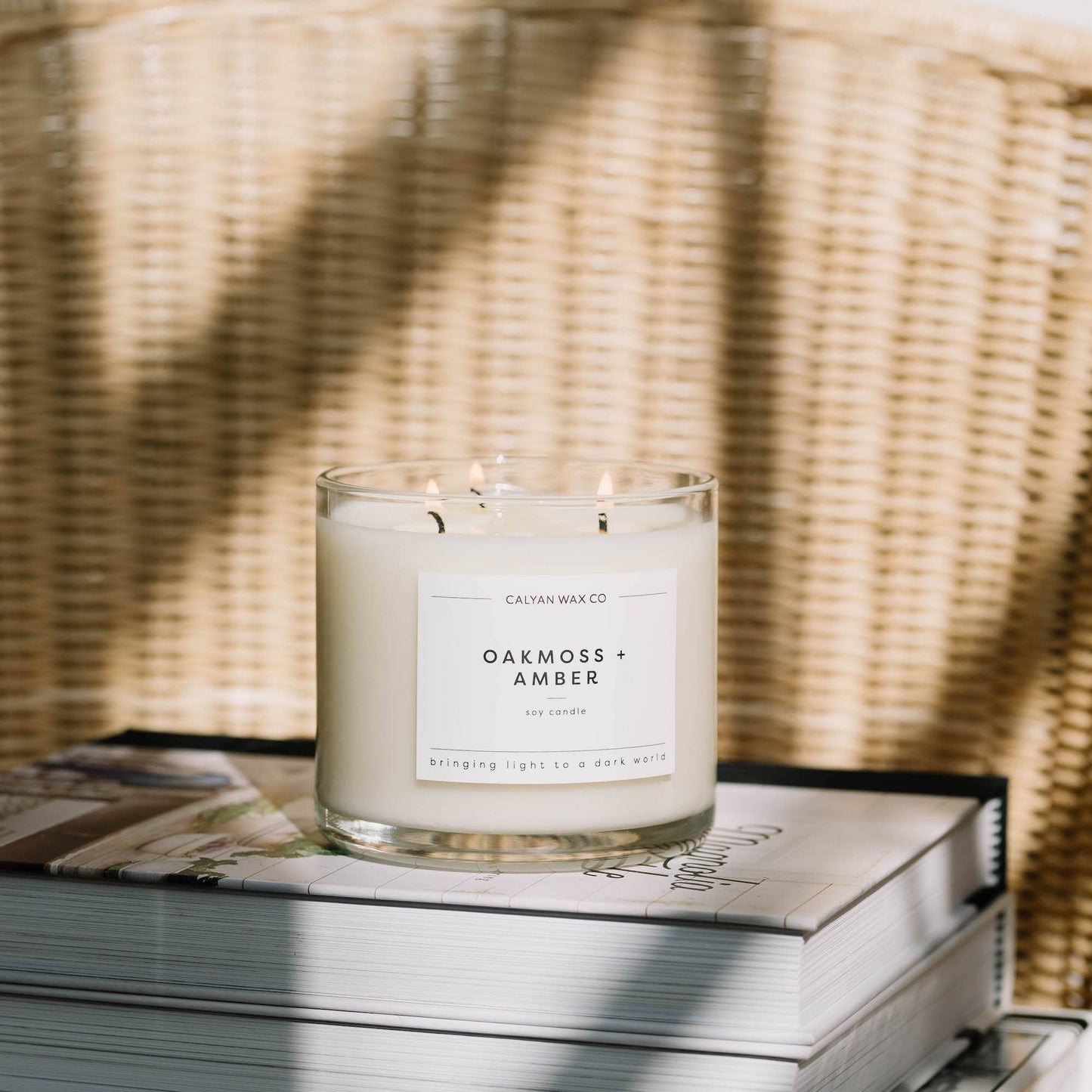 Oakmoss + Amber 3 Wick Candle