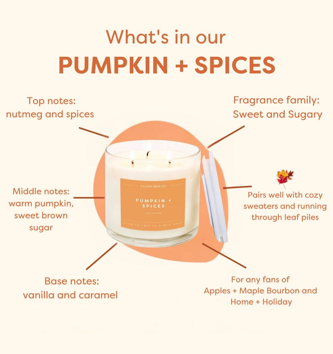 Pumpkin + Spices 3 Wick Candle