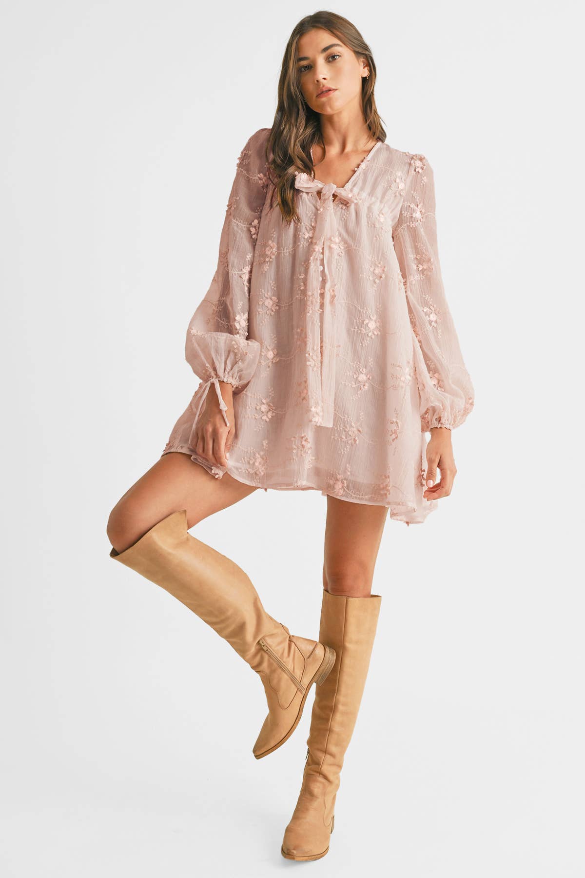 Embroidered Mini Dress