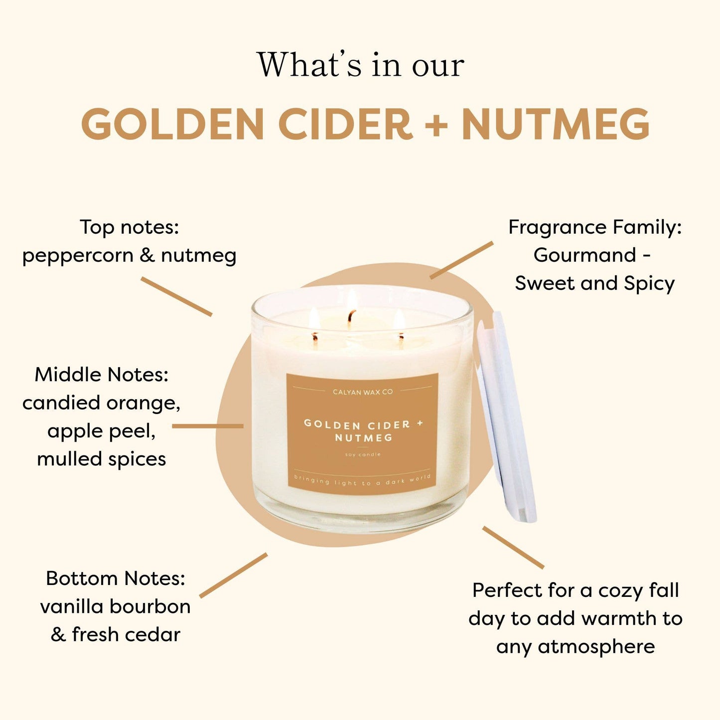 GoldenCider + Nutmeg 3 Wick Candle