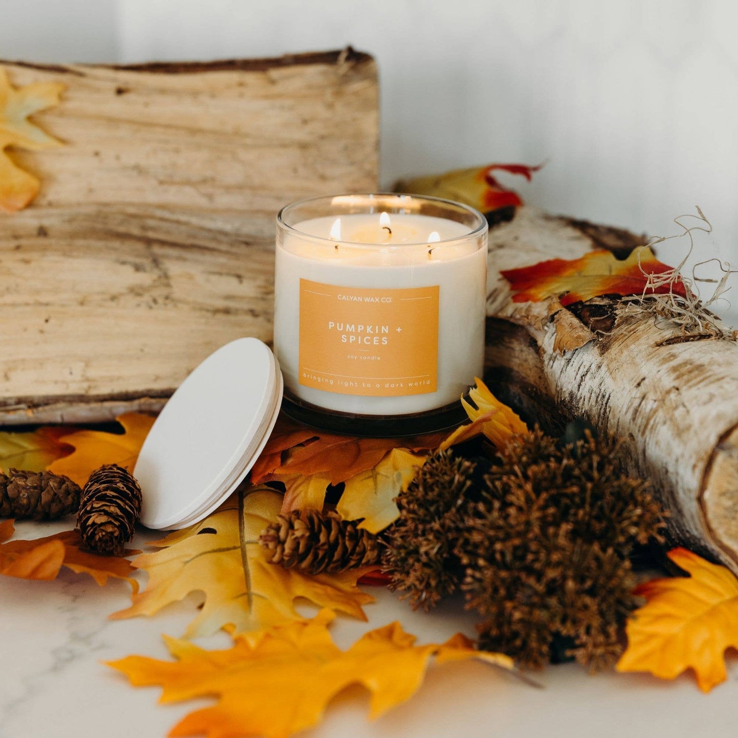 Pumpkin + Spices 3 Wick Candle