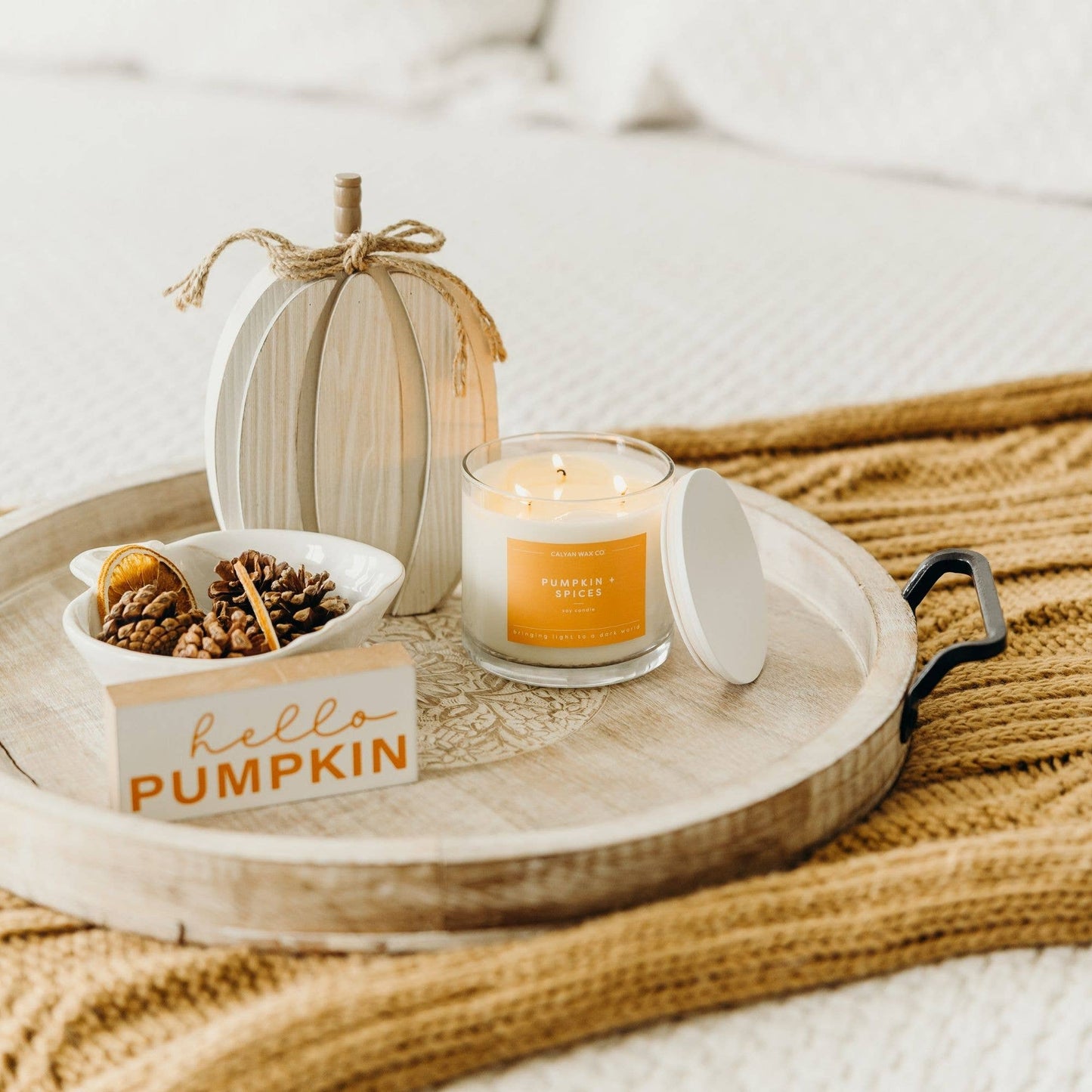 Pumpkin + Spices 3 Wick Candle