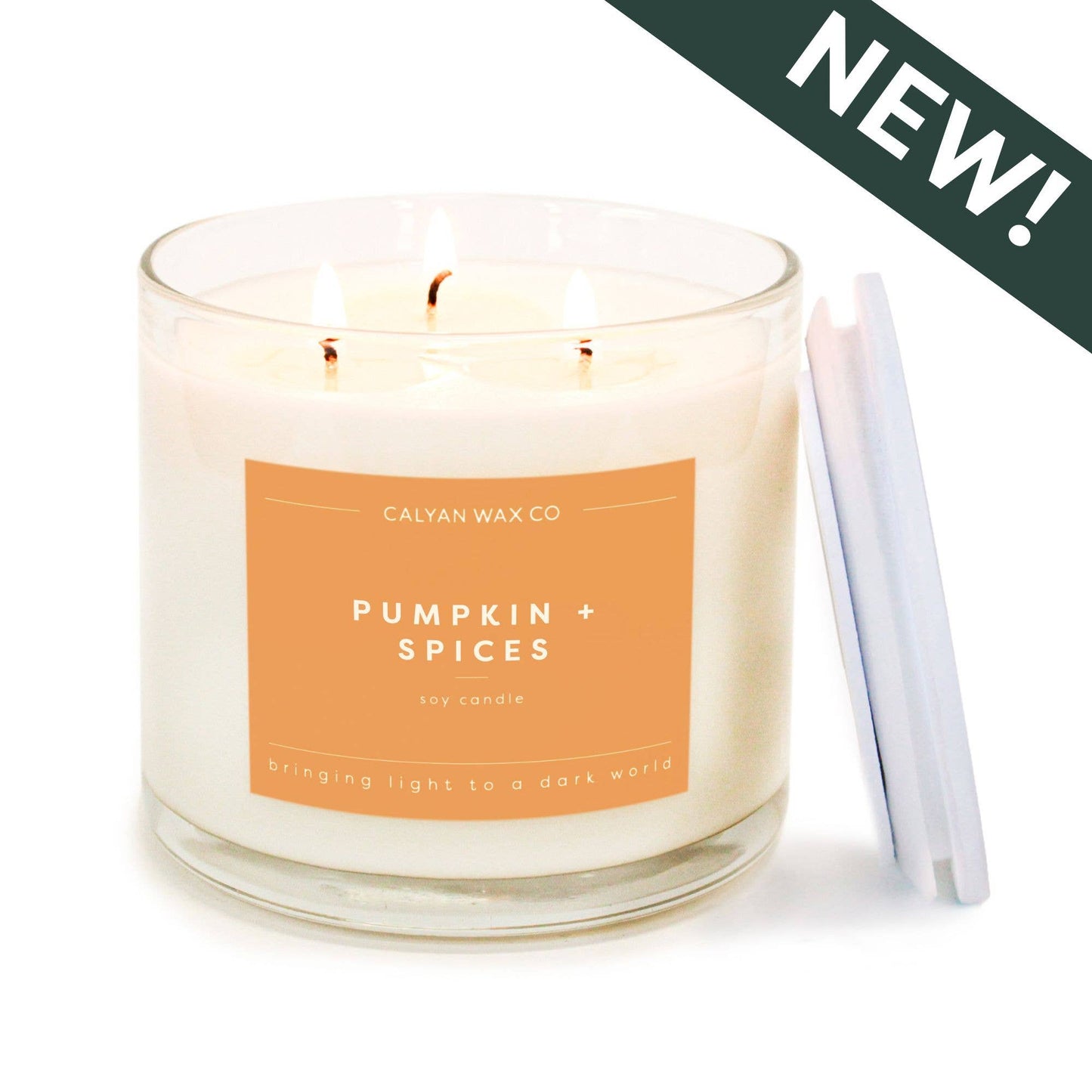 Pumpkin + Spices 3 Wick Candle