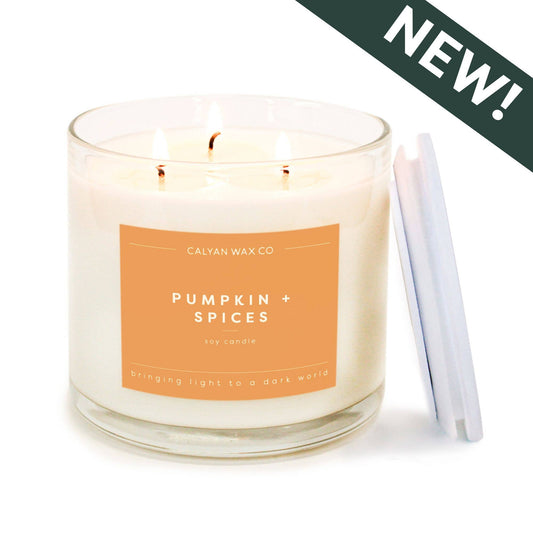 Pumpkin + Spices 3 Wick Candle
